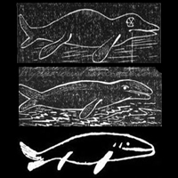 Tuttle's attempt at the evolution of whales, as recounted by his 'superior intelligences', from Arcana of Nature, 1859